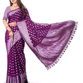 Georgette Silver Buti Silk Saree with Zalar and Siroski